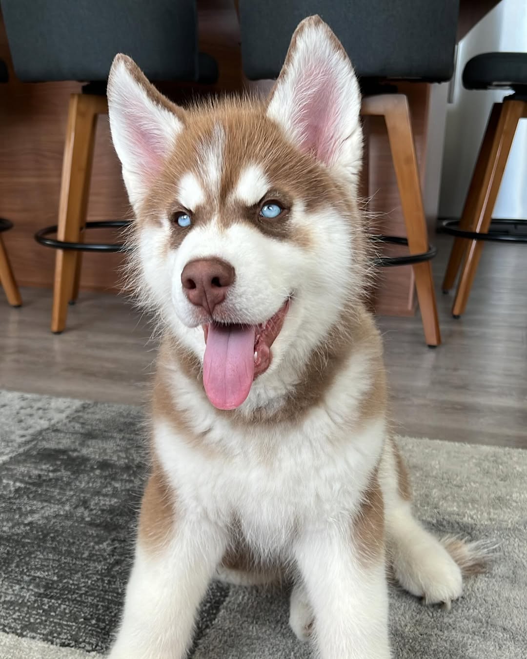 Fluffy Mädchen